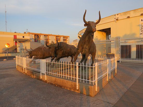 Arènes du Grau du Roi